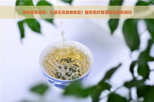 老班章普洱茶：红茶还是其他类型？解答您对普洱茶类型的疑问