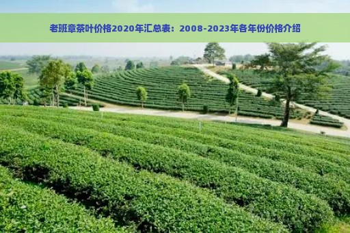 老班章茶叶价格2020年汇总表：2008-2023年各年份价格介绍