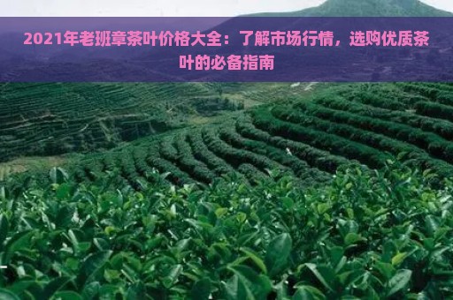 2021年老班章茶叶价格大全：了解市场行情，选购优质茶叶的必备指南