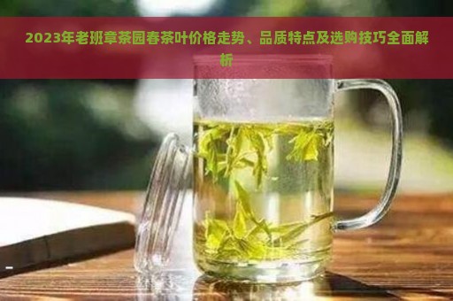 2023年老班章茶园春茶叶价格走势、品质特点及选购技巧全面解析