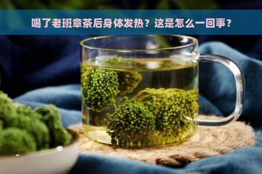 喝了老班章茶后身体发热？这是怎么一回事？