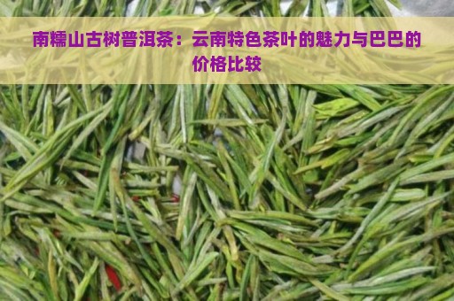 南糯山古树普洱茶：云南特色茶叶的魅力与巴巴的价格比较