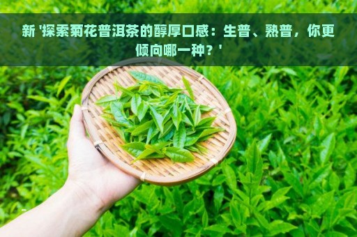 新 '探索菊花普洱茶的醇厚口感：生普、熟普，你更倾向哪一种？'