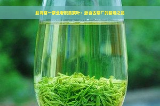 勐海茗一茶业老班章茶叶：源自古茶厂的精选之品