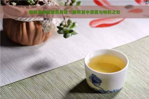 新普洱茶后放屁异味？解析其中原因与特别之处