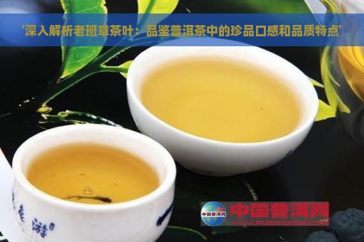 '深入解析老班章茶叶：品鉴普洱茶中的珍品口感和品质特点'