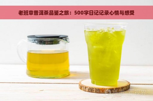 老班章普洱茶品鉴之旅：500字日记记录心情与感受