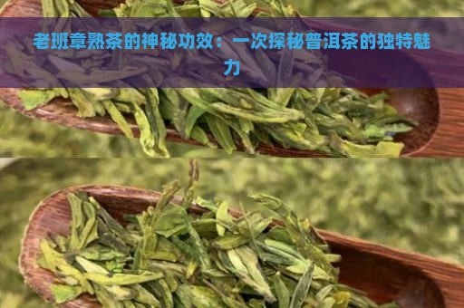 老班章熟茶的神秘功效：一次探秘普洱茶的独特魅力