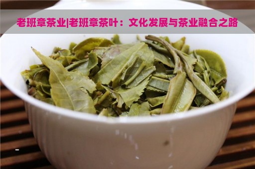 老班章茶业|老班章茶叶：文化发展与茶业融合之路