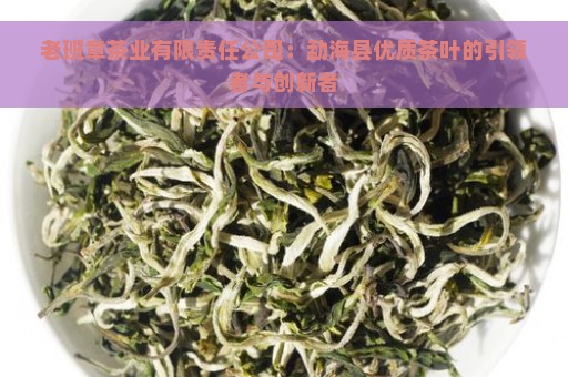 老班章茶业有限责任公司：勐海县优质茶叶的引领者与创新者