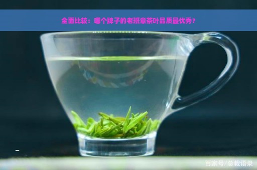 全面比较：哪个牌子的老班章茶叶品质最优秀？