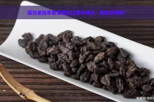 探究老班章普洱茶的口感与特点：真的好喝吗？