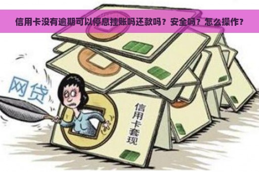 信用卡没有逾期可以停息挂账吗还款吗？安全吗？怎么操作？