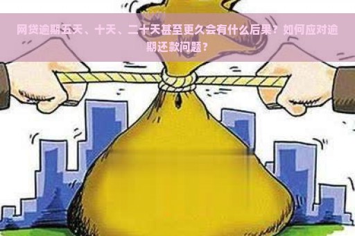 网贷逾期五天、十天、二十天甚至更久会有什么后果？如何应对逾期还款问题？