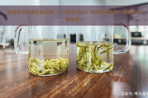 老班章纯料茶价格指南：公斤价是多少？如何鉴别真伪？购买途径有哪些？