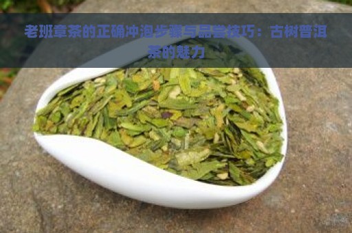 老班章茶的正确冲泡步骤与品尝技巧：古树普洱茶的魅力