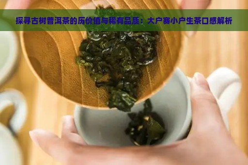 探寻古树普洱茶的历价值与稀有品质：大户赛小户生茶口感解析