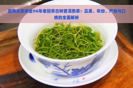 勐海志鹏茶业06年老班章古树普洱熟茶：品质、年份、产地与口感的全面解析