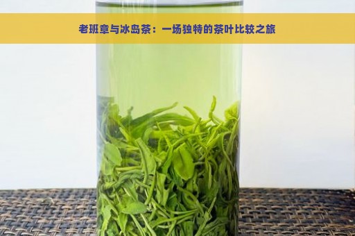 老班章与冰岛茶：一场独特的茶叶比较之旅