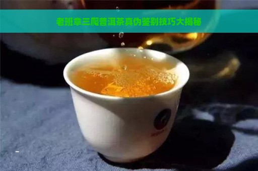 老班章三爬普洱茶真伪鉴别技巧大揭秘