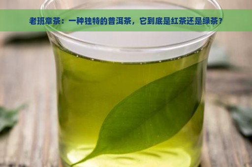 老班章茶：一种独特的普洱茶，它到底是红茶还是绿茶？