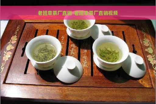 老班章茶厂直销-老班章茶厂直销视频