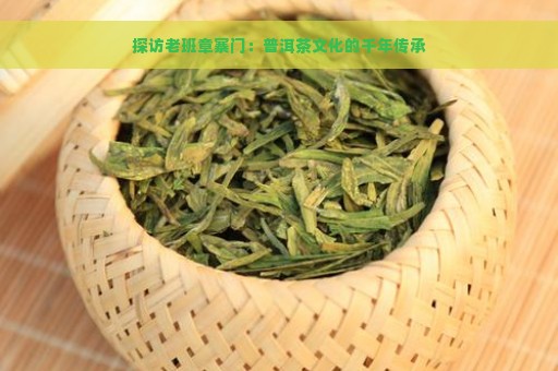 探访老班章寨门：普洱茶文化的千年传承