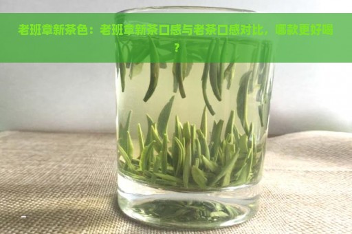 老班章新茶色：老班章新茶口感与老茶口感对比，哪款更好喝？