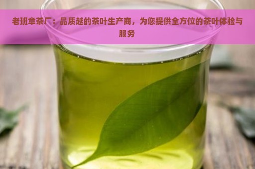 老班章茶厂：品质越的茶叶生产商，为您提供全方位的茶叶体验与服务