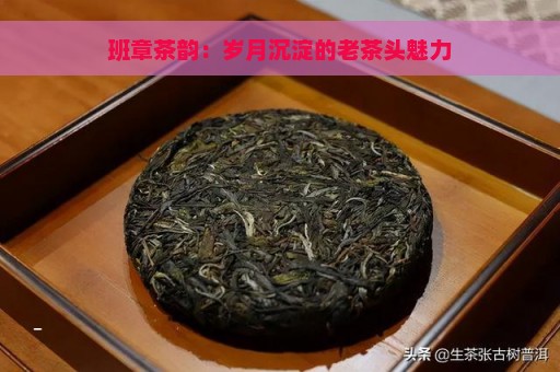 班章茶韵：岁月沉淀的老茶头魅力