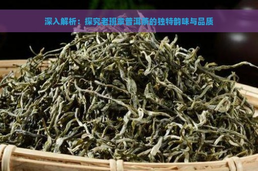 深入解析：探究老班章普洱茶的独特韵味与品质