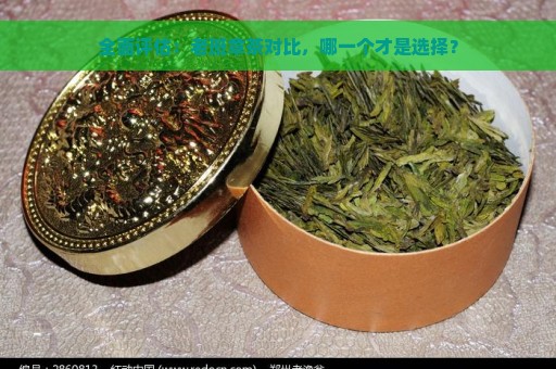 全面评估：老班章茶对比，哪一个才是选择？