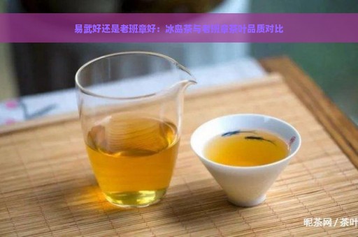 易武好还是老班章好：冰岛茶与老班章茶叶品质对比