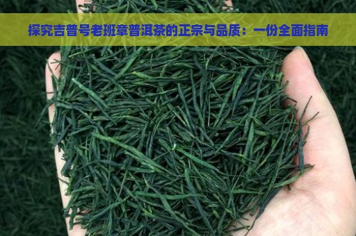 探究吉普号老班章普洱茶的正宗与品质：一份全面指南