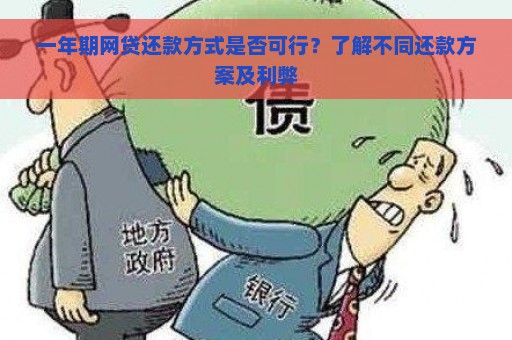 一年期网贷还款方式是否可行？了解不同还款方案及利弊