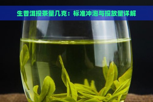 生普洱投茶量几克：标准冲泡与投放量详解