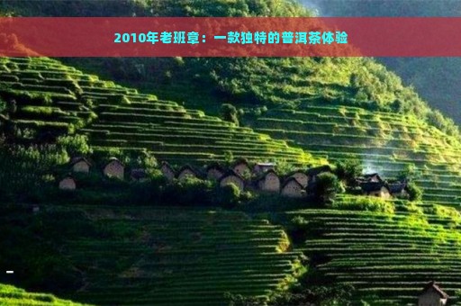 2010年老班章：一款独特的普洱茶体验