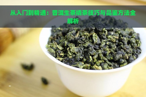 从入门到精通：普洱生茶撬茶技巧与品鉴方法全解析