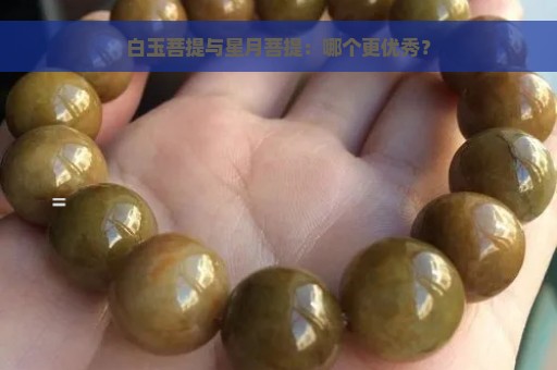 白玉菩提与星月菩提：哪个更优秀？