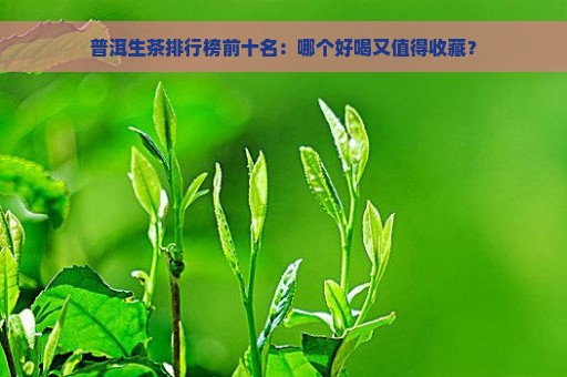 普洱生茶排行榜前十名：哪个好喝又值得收藏？