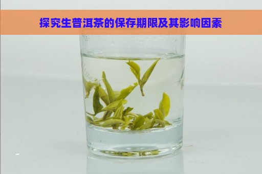 探究生普洱茶的保存期限及其影响因素