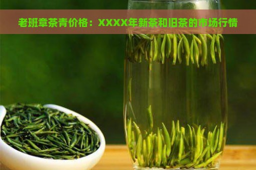 老班章茶青价格：XXXX年新茶和旧茶的市场行情