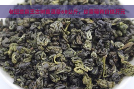 老班章茶王古树普洱茶68公斤，珍贵稀有价值万元