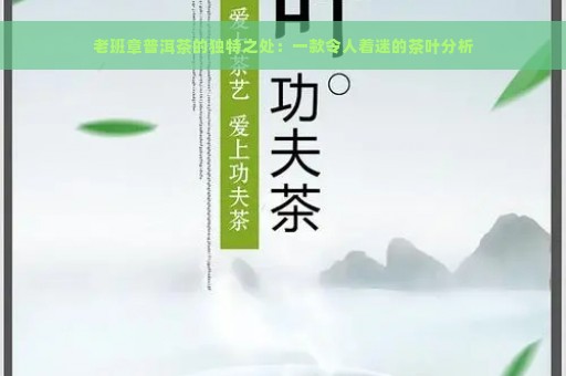 老班章普洱茶的独特之处：一款令人着迷的茶叶分析