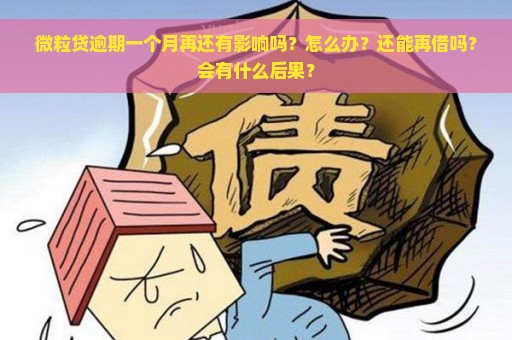 微粒贷逾期一个月再还有影响吗？怎么办？还能再借吗？会有什么后果？