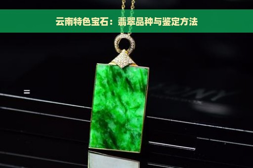 云南特色宝石：翡翠品种与鉴定方法