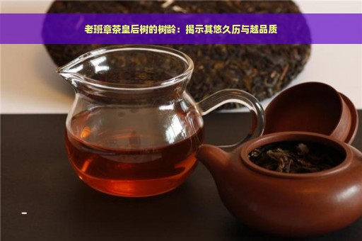 老班章茶皇后树的树龄：揭示其悠久历与越品质