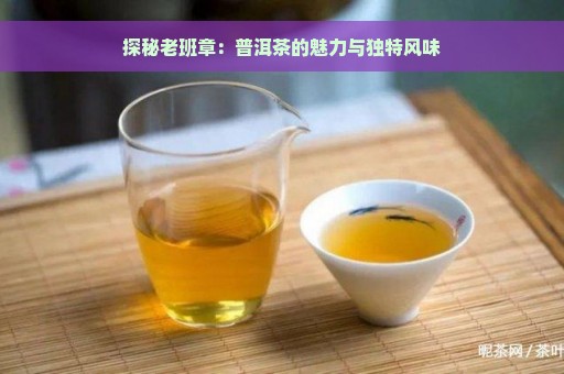 探秘老班章：普洱茶的魅力与独特风味