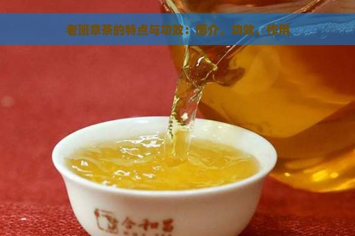 老班章茶的特点与功效：简介、功效、作用