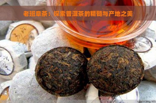 老班章茶：探索普洱茶的精髓与产地之美